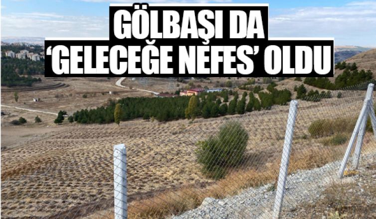 Gölbaşı Belediyesi'nden fidan dikimi seferberliğine tam destek!