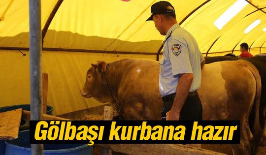 Gölbaşı kurbana hazır