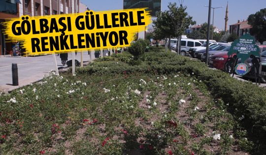 Gölbaşı'na renkli güller dikildi