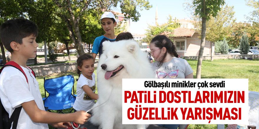 Gölbaşı'nda 150 köpek yarıştı