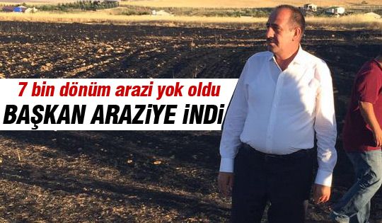 Gölbaşı’nda 700 Dönüm Ekili Alan Kül Oldu