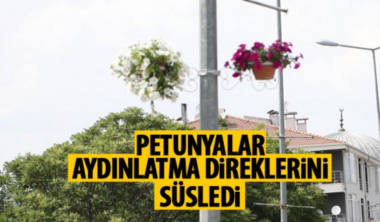 Gölbaşı'nda aydınlatma direkleri süslendi