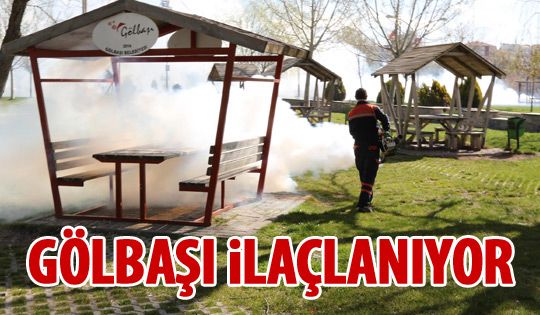 Gölbaşı'nda ilaçlama çalışmaları başladı