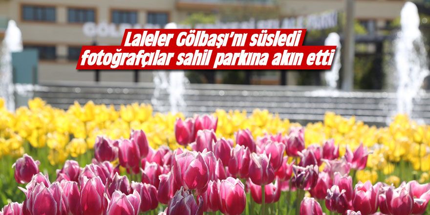 Gölbaşı'nda lale mevsimi