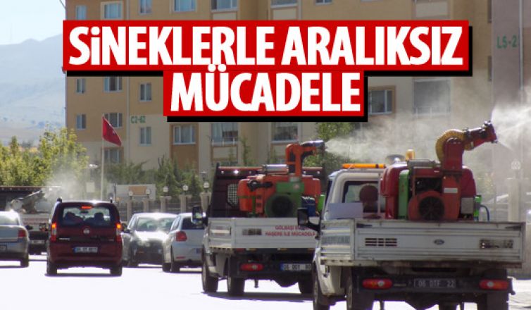 Gölbaşı'nda sineklerle mücadele