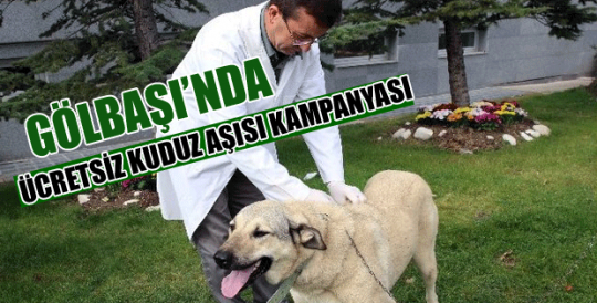 Gölbaşı’nda Ücretsiz Kuduz Aşısı Kampanyası