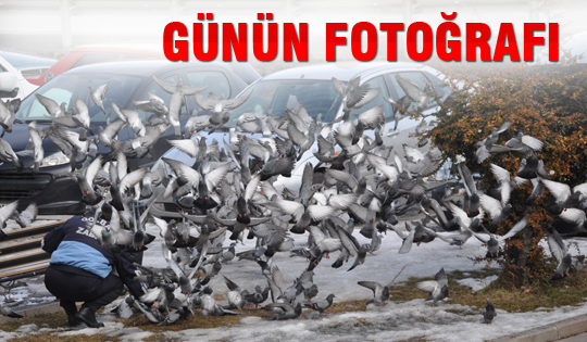 Günün Fotoğrafı