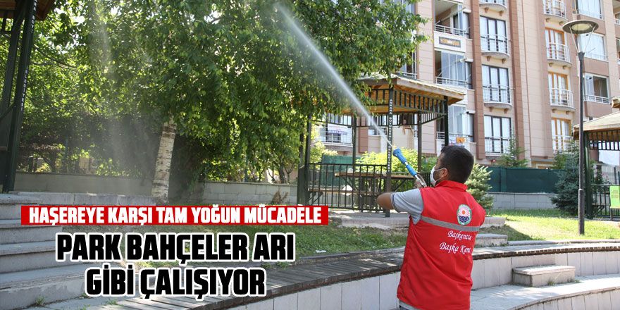 Haşereye karşı yoğun mücadele