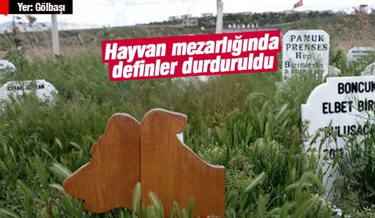 Hayvan mezarlığı taşınıyor