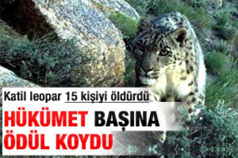 Hükümet leoparın başına ödül koydu 