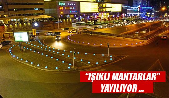 IŞIKLI MANTARLAR YAYILIYOR