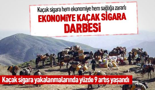 Kaçak sigara yakalanmalarında yüzde 9 artış