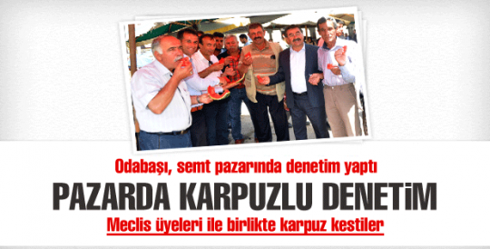 Karpuzlu denetim