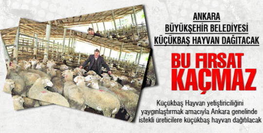 KÜÇÜKBAŞ HAYVAN DAĞITILICAK