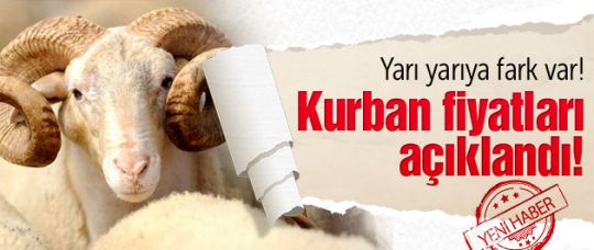 Kurban fiyatları açıklandı! 