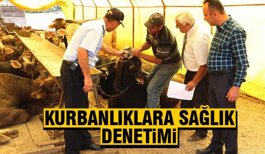 Kurbanlıklara sağlık kontrolü