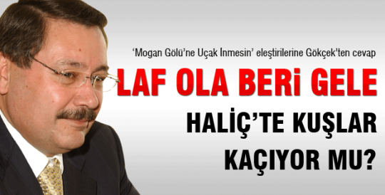 Laf ola beri gele...