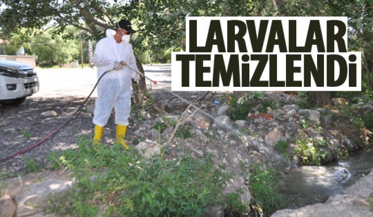 Larvalar temizleniyor