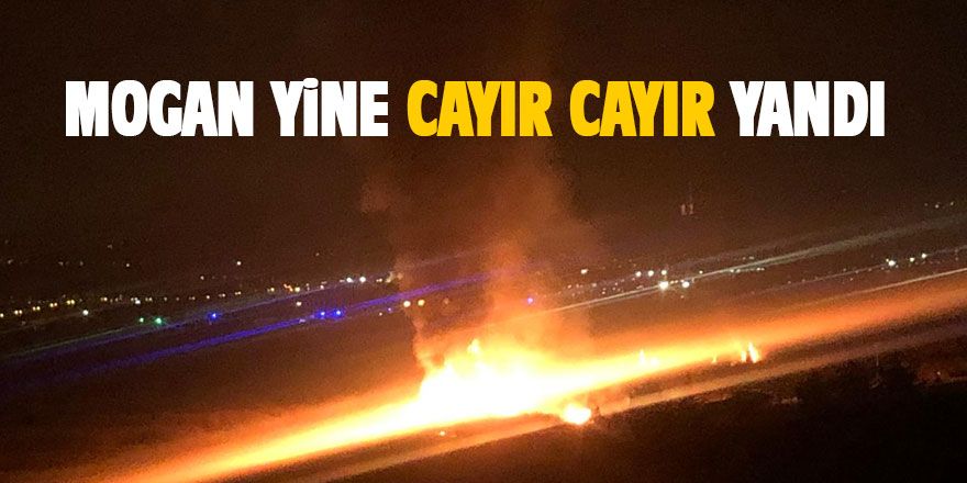 Mogan yine cayır cayır yandı