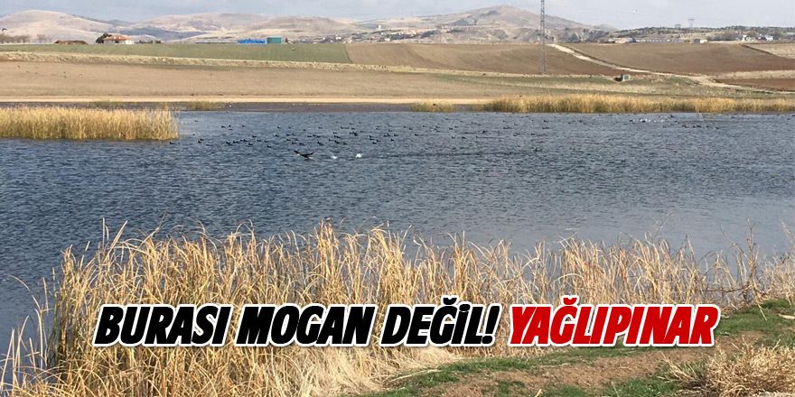 Mogan'a alternatif yeni göl!