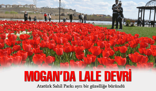 Mogan'da lale devri