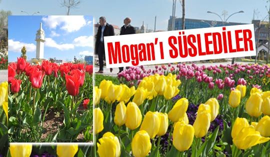 Mogan'ı Süslediler