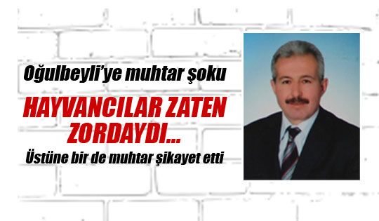 Muhtar Reşat Yüksel besicilerden şikayetçi