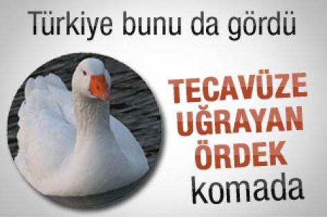 Ördeğe tecavüz etti