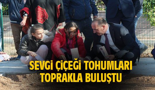 Sevgi çiçeği tohumları toprakla buluştu