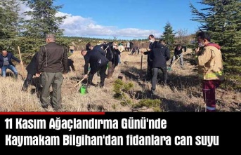 Kaymakam Bilgihan fidan dikti