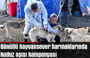 Gönüllü hayvansever barınaklarında kuduz aşısı kampanyası