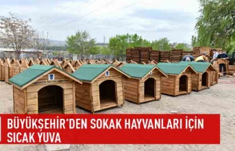 Büyükşehir'den sokak hayvanları için sıcak yuva