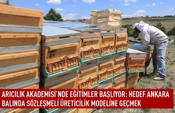 Arıcılık akademisi'nde eğitimler başlıyor: hedef Ankara balında sözleşmeli üreticilik modeline geçmek