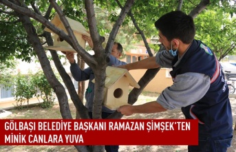 Gölbaşı belediyesi'nden kuşlara yuva