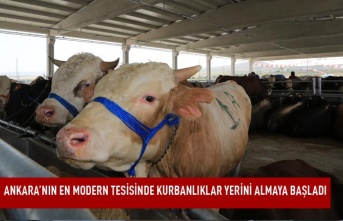 Gölbaşı Kurban Satış ve Kesim Yerinin Misafirleri Gelmeye Başladı