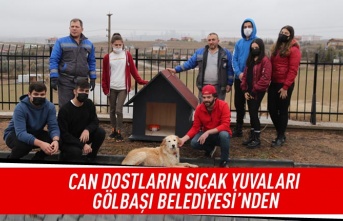 Öğrenciler İstedi Gölbaşı Belediyesi Patileri Yuvalarına Kavuşturdu