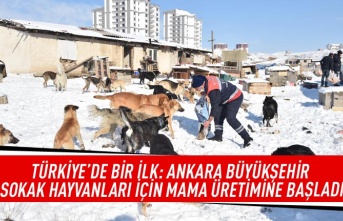 Türkiye'de bir ilk: Ankara Büyükşehir sokak hayvanları için mama üretimine başladı