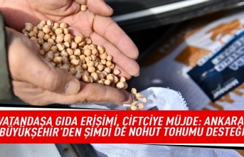 Vatandaşa gıda erişimi,çiftçiye müjde: Ankara Büyükşehir'den şimdide nohut tohumu desteği