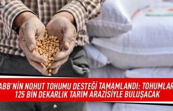 ABB'nin nohut tohumu desteği tamamlandı: Tohumlar 125 bin dekarlık tarım arazisiyle buluşacak