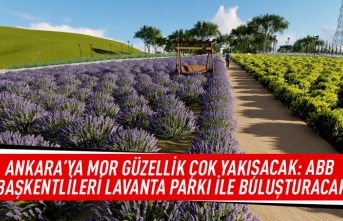 Ankara'ya mor güzellik çok yakışacak: ABB Başkentlileri lavanta parkı ile buluşturacak