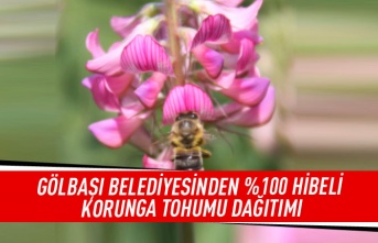 Gölbaşı Belediyesi Çiftçinin Yanında Olmaya Devam Ediyor