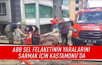 ABB sel felaketinin yaralarını sarmak için Kastamonu'da