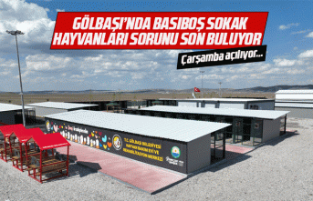 Gölbaşı sokak hayvanları sorunundan nihayet kurtuluyor