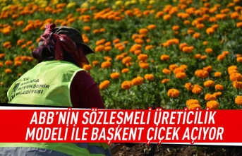 ABB'nin sözleşmeli üreticilik modeli ile Başkent çiçek açıyor