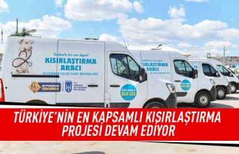 Türkiye'nin en kapsamlı kısırlaştırma projesi devam ediyor