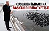 Başkan Duruay kuşlara yem attı