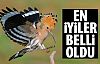 En iyi fotoğraf avcıları belli oldu