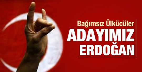 Ülkücüler: Erdoğan'ı destekliyoruz
