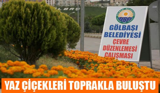 Yaz Çiçekleri Toprakla Buluştu