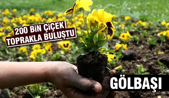 Yaz çiçekleri Toprakla Buluştu